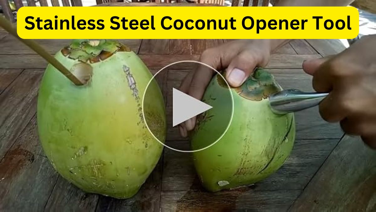 Stainless Steel Coconut Opener Tool