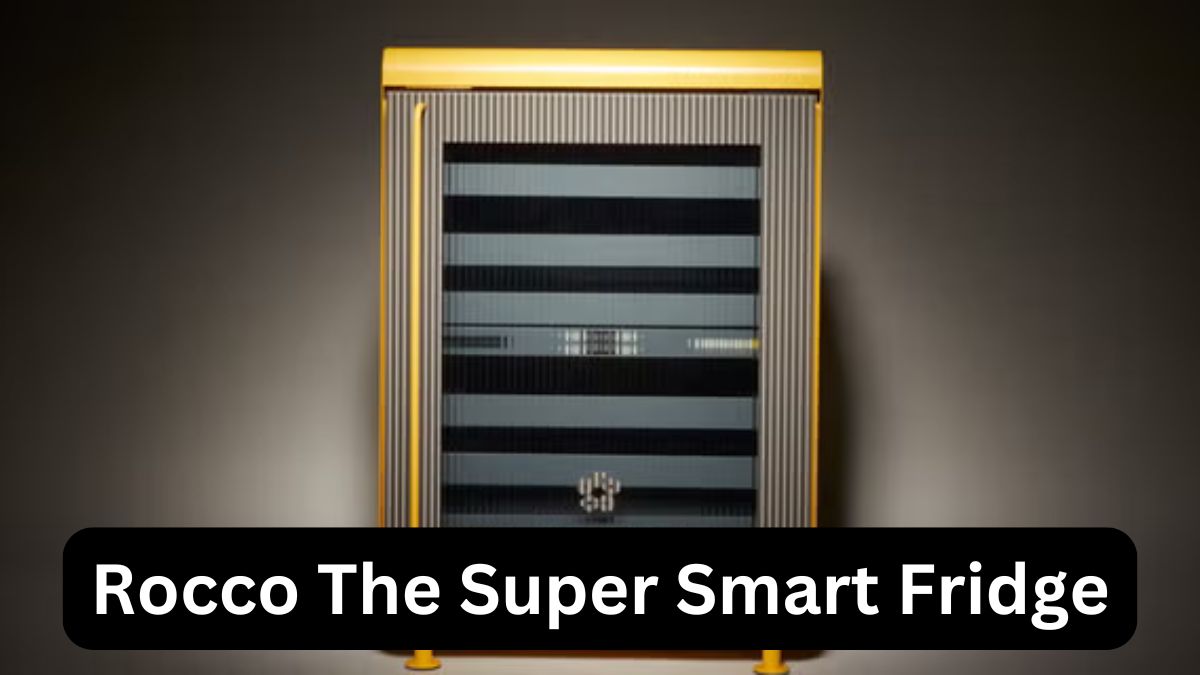 Rocco The Super Smart Fridge